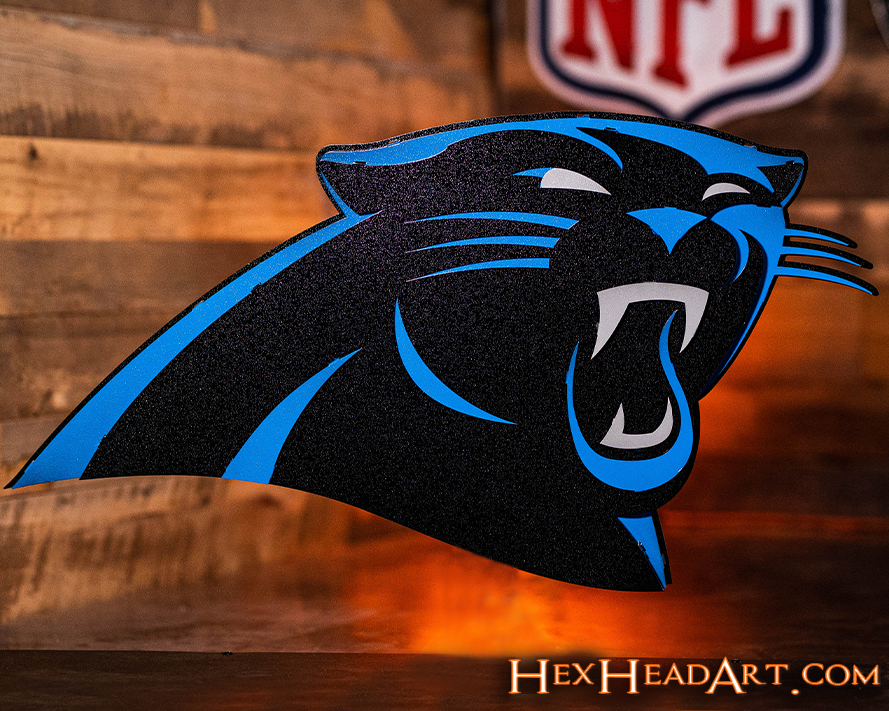 Carolina Panthers 3D Vintage Metal Wall Art