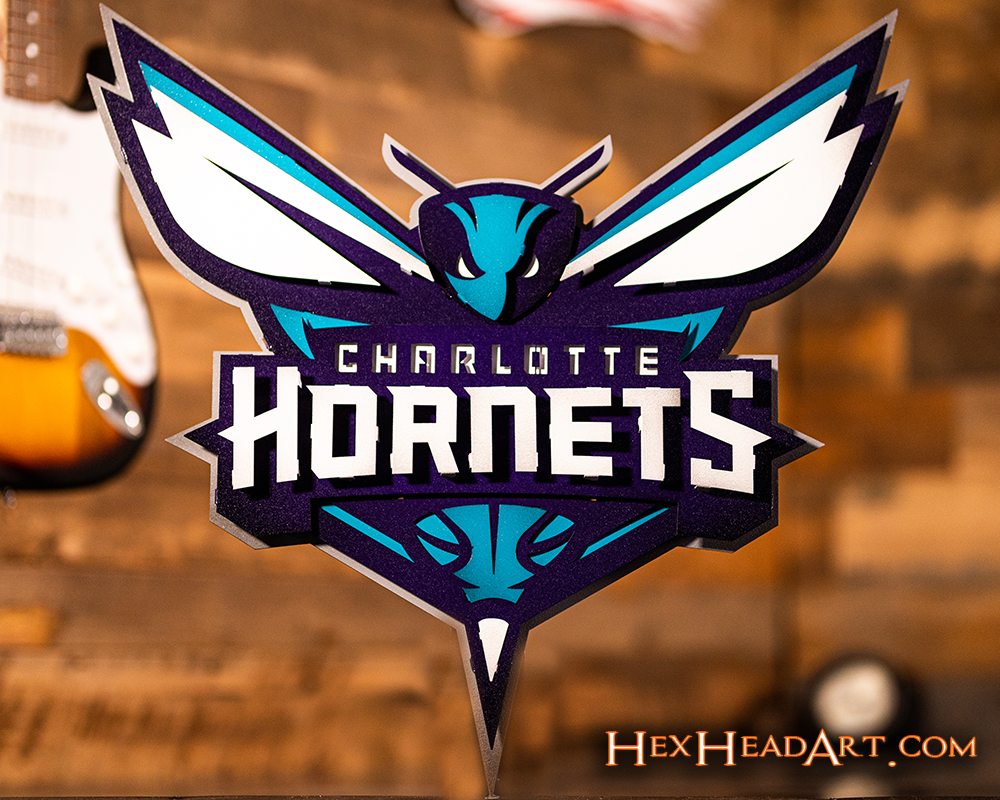 Charlotte Hornets NBA 3D Vintage Metal Wall Art