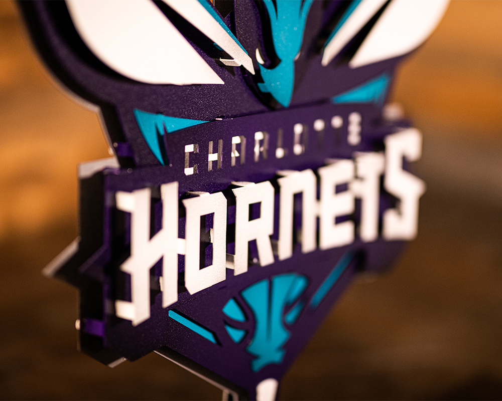 Charlotte Hornets NBA 3D Vintage Metal Wall Art