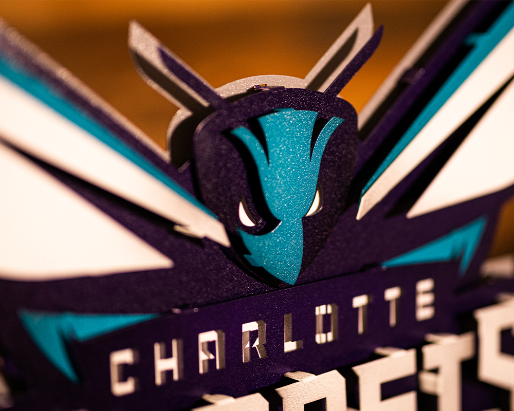 Charlotte Hornets NBA 3D Vintage Metal Wall Art