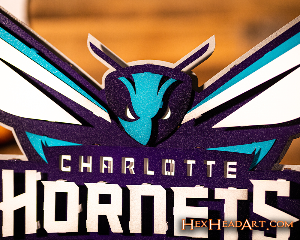 Charlotte Hornets NBA 3D Vintage Metal Wall Art