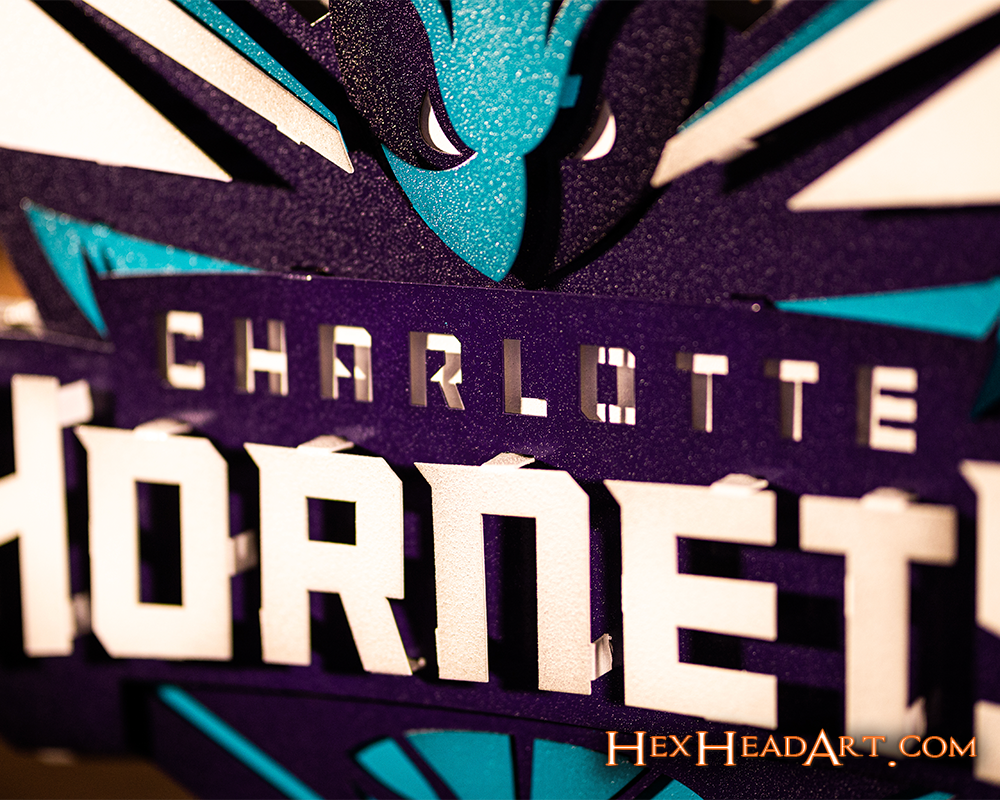 Charlotte Hornets NBA 3D Vintage Metal Wall Art