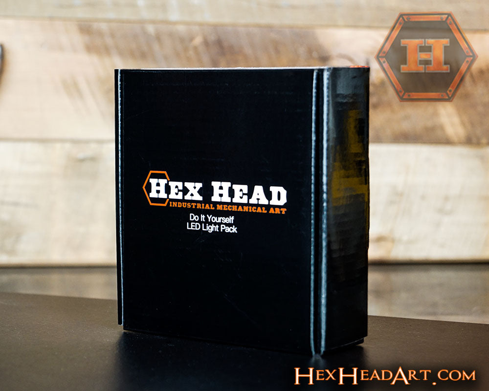 Hex Head LED "Do It Yourself" Light Package, w/ Remote Control