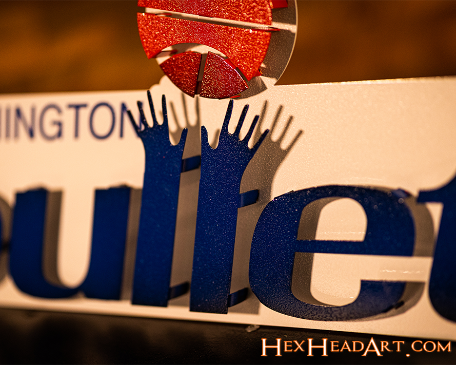 Washington Bullets 1977 3D Vintage Metal Wall Art