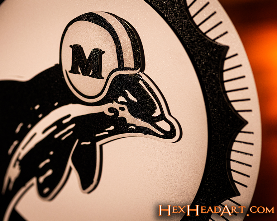 Right Side Monochromatic Miami Dolphins Throwback "1966"  3D Metal Wall Art