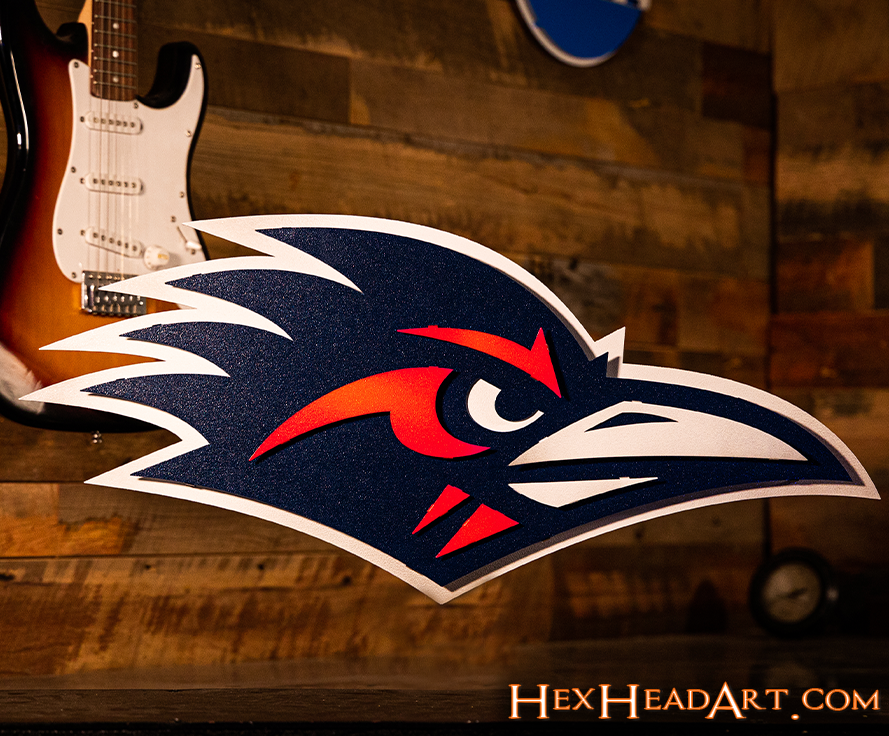 Texas San Antonio UTSA Road Runner 3D Vintage Metal Wall Art