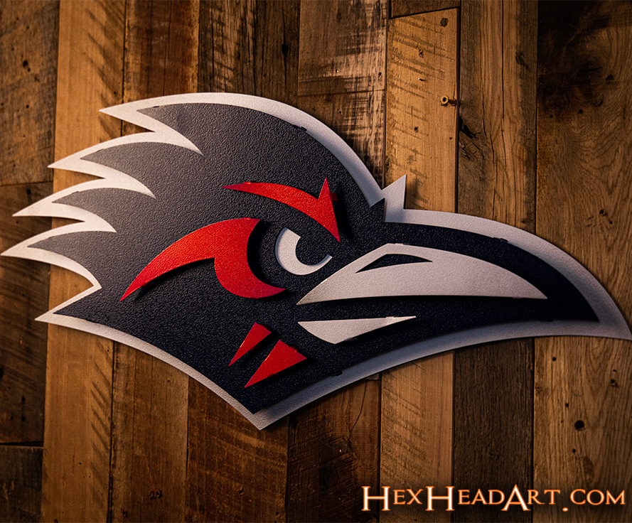 Texas San Antonio UTSA Road Runner 3D Vintage Metal Wall Art