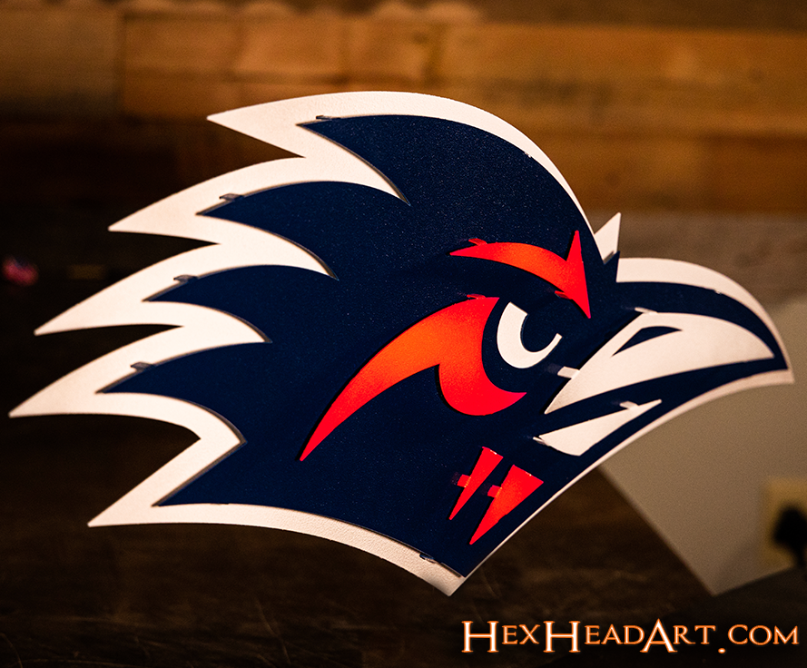 Texas San Antonio UTSA Road Runner 3D Vintage Metal Wall Art