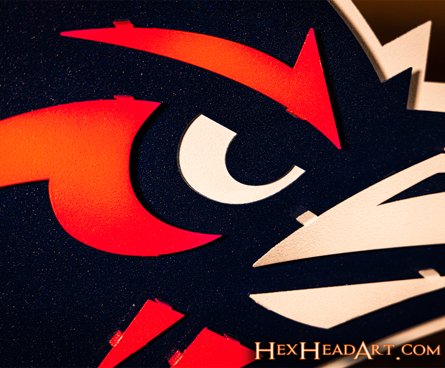 Texas San Antonio UTSA Road Runner 3D Vintage Metal Wall Art