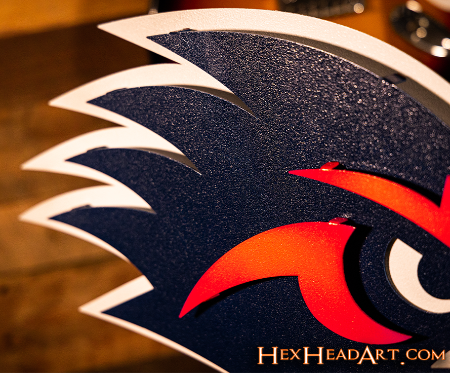 Texas San Antonio UTSA Road Runner 3D Vintage Metal Wall Art