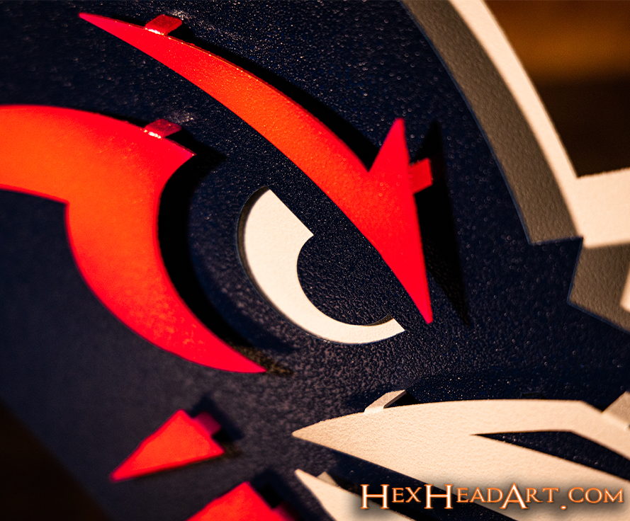 Texas San Antonio UTSA Road Runner 3D Vintage Metal Wall Art