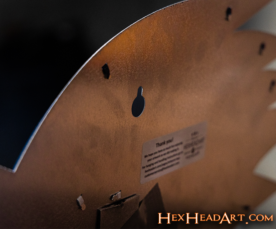 Texas San Antonio UTSA Road Runner 3D Vintage Metal Wall Art