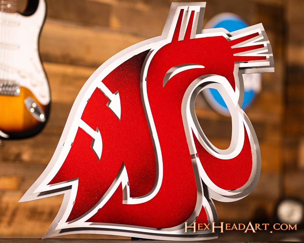 Washington State Cougars 3D Vintage Metal Wall Art