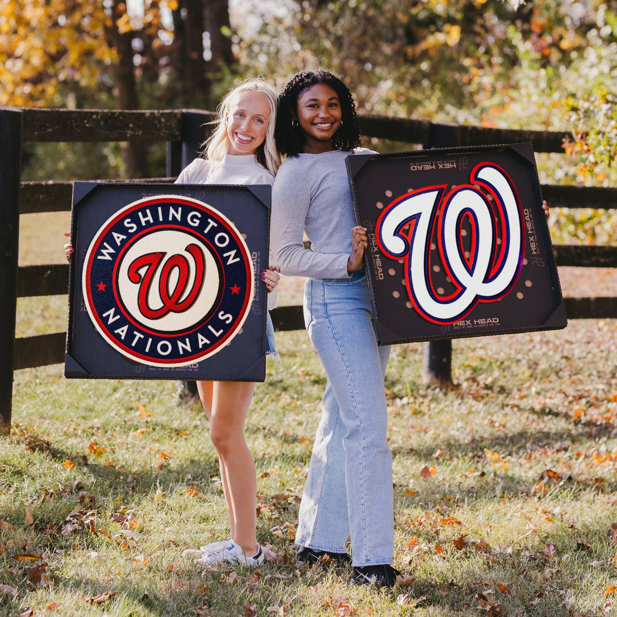 Washington Nationals flag, , red and blue 3D waves, MLB, american