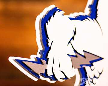 Air Force Academy Vintage Falcon Mascot Metal Wall Art