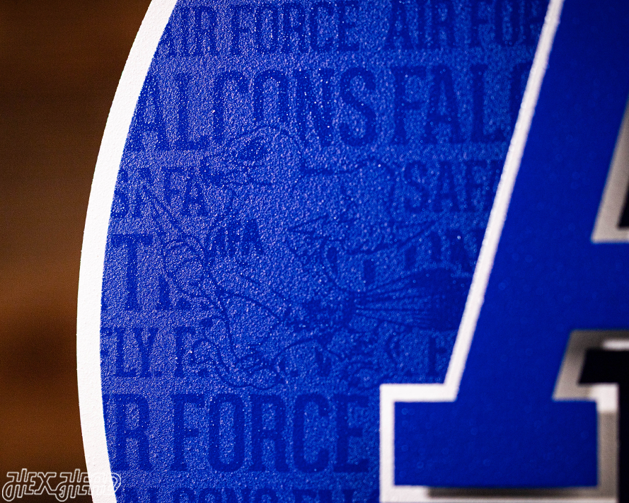 Air Force Academy CRAFT SERIES 3D Embossed Metal Wall Art