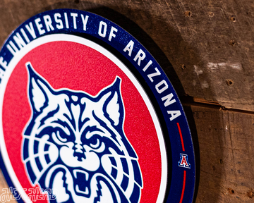 Arizona Wildcats "Double Play" On the Shelf or on the Wall Art