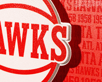 Atlanta Hawks 3D CRAFT SERIES Metal Wall Art
