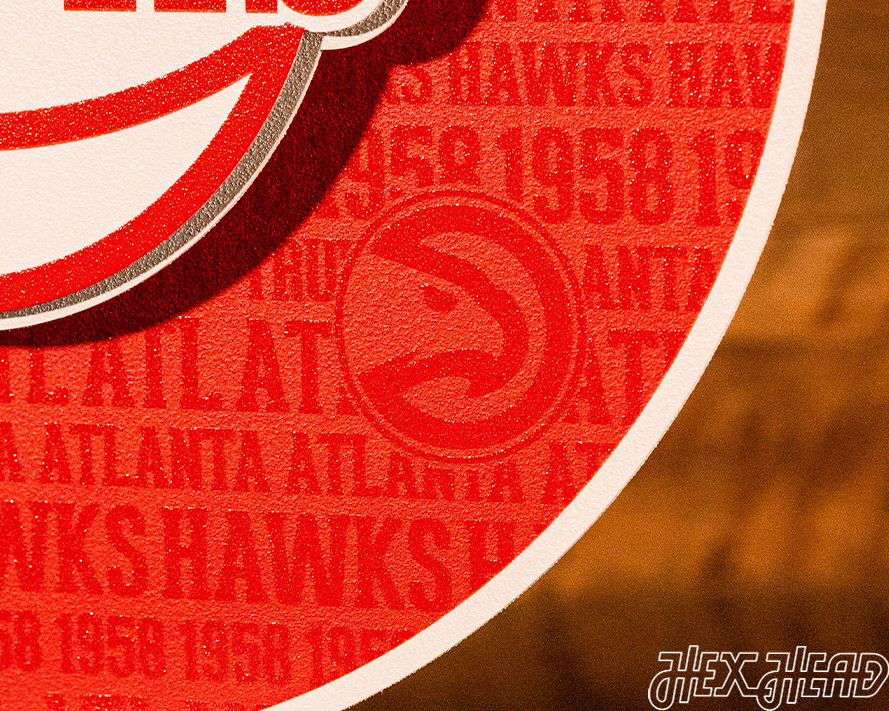 Atlanta Hawks 3D CRAFT SERIES Metal Wall Art