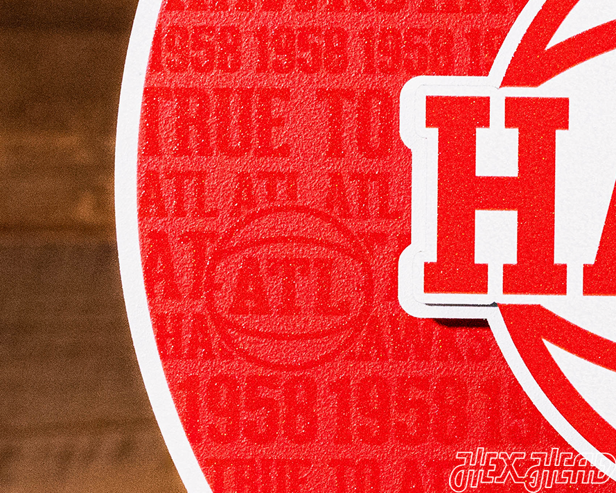 Atlanta Hawks 3D CRAFT SERIES Metal Wall Art