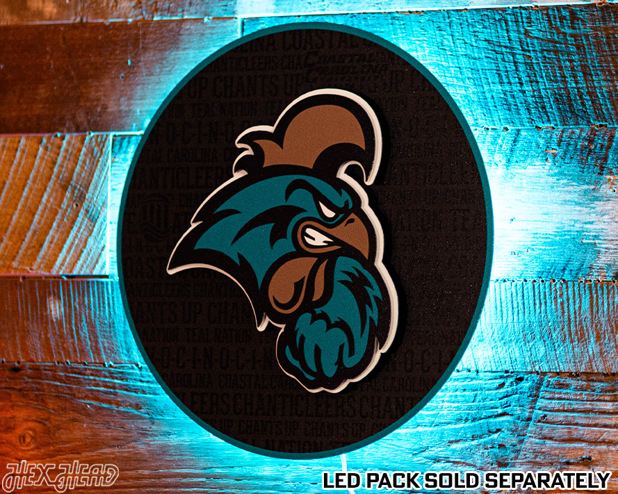 Coastal Carolina CRAFT SERIES 3D Embossed Metal Wall Art