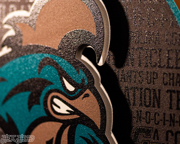 Coastal Carolina CRAFT SERIES 3D Embossed Metal Wall Art