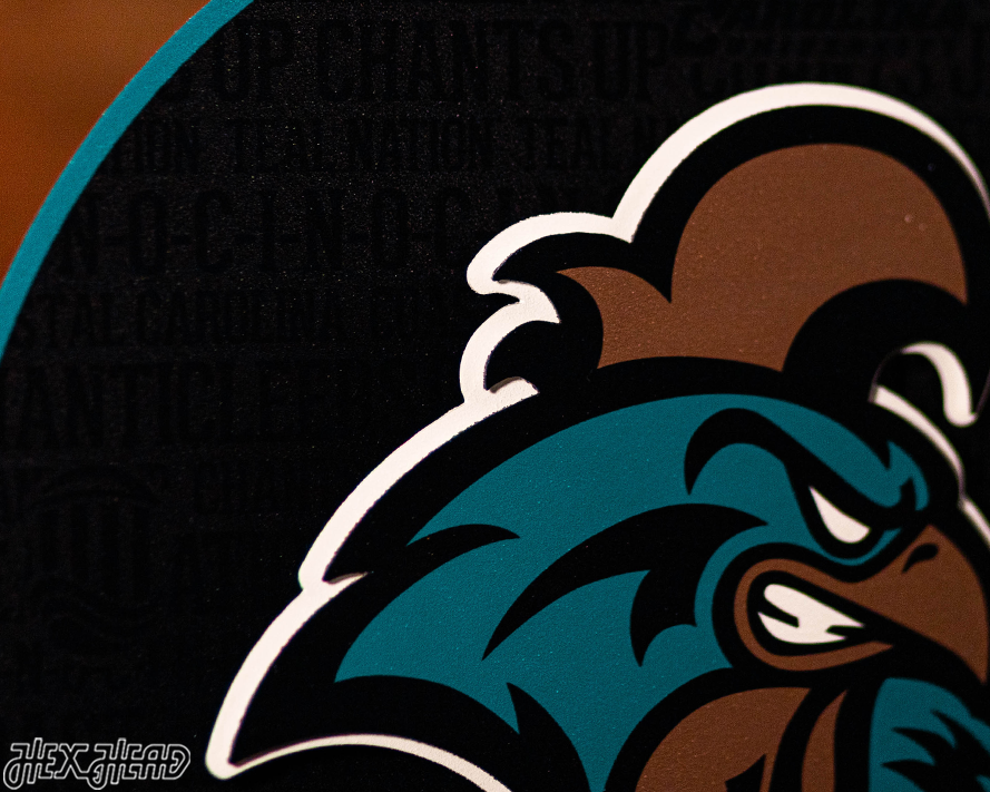 Coastal Carolina CRAFT SERIES 3D Embossed Metal Wall Art