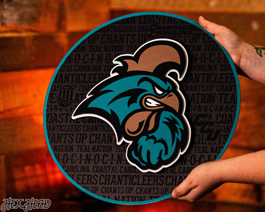 Coastal Carolina CRAFT SERIES 3D Embossed Metal Wall Art