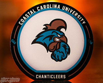 Coastal Carolina "Double Play" On the Shelf or on the Wall Art