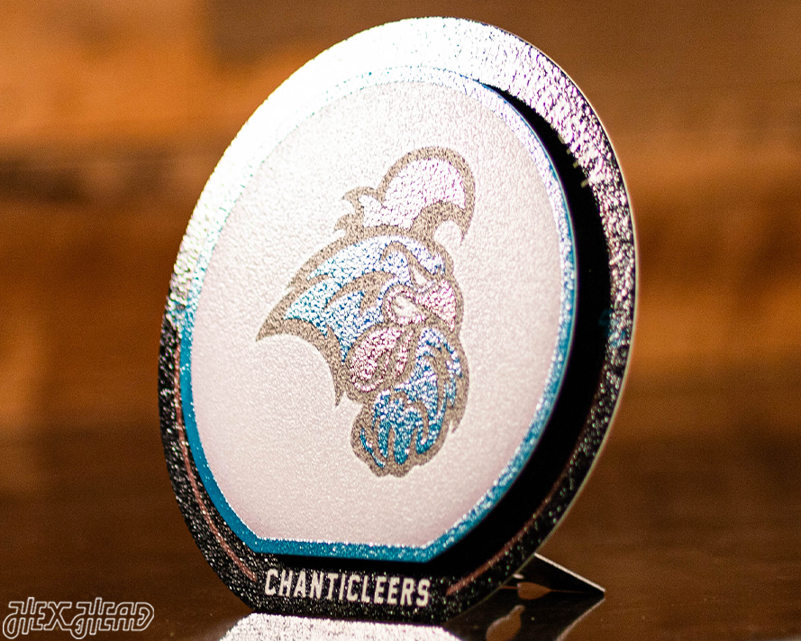 Coastal Carolina "Double Play" On the Shelf or on the Wall Art