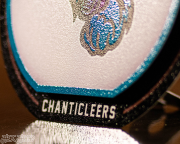 Coastal Carolina "Double Play" On the Shelf or on the Wall Art