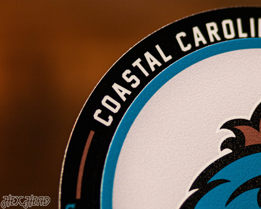 Coastal Carolina "Double Play" On the Shelf or on the Wall Art