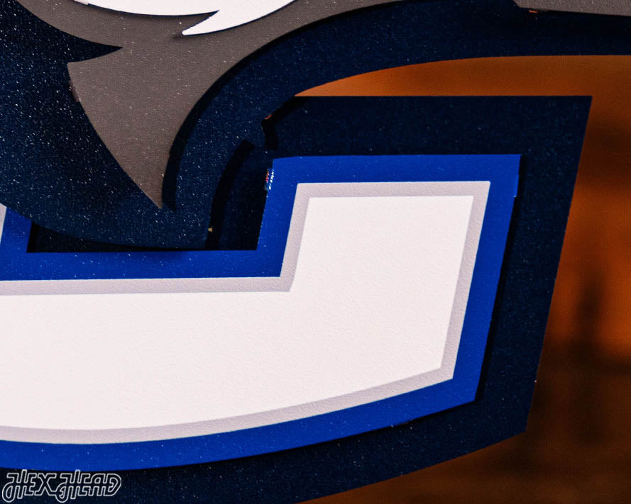Creighton Bluejays 3D Vintage Metal Wall Art
