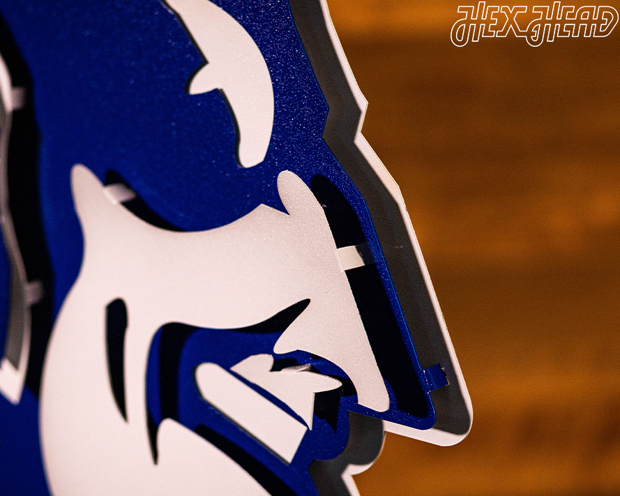 Duke Blue Devil Mascot 3D Vintage Metal Wall Art