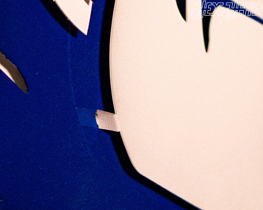 Duke Blue Devil Mascot 3D Vintage Metal Wall Art