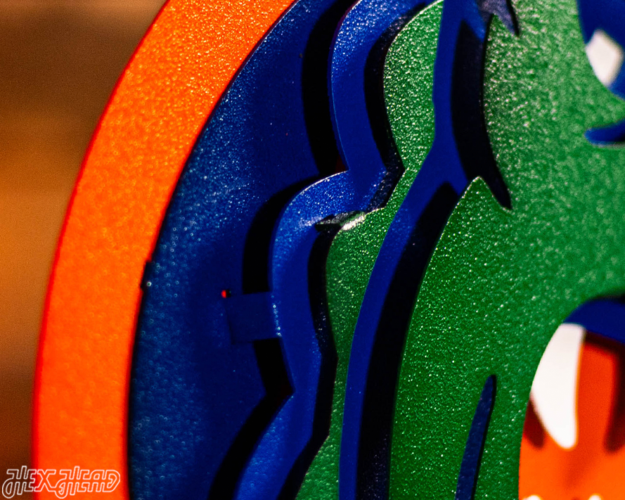 Florida Gators "GATOR HEAD"  3D Vintage Metal Wall Art