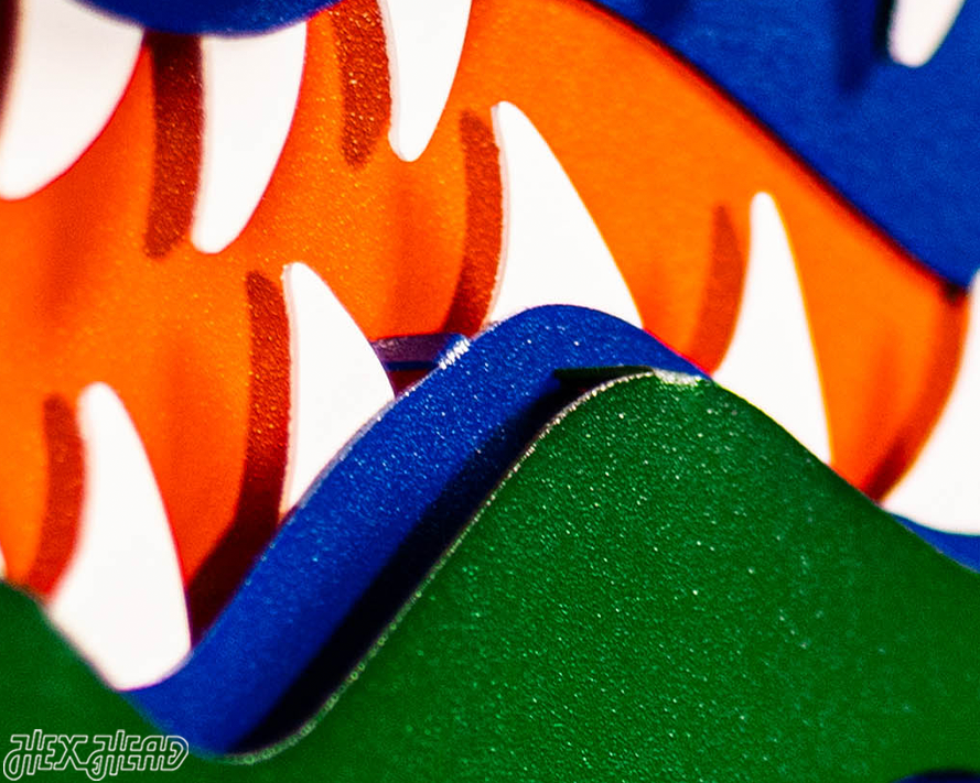 Florida Gators "GATOR HEAD"  3D Vintage Metal Wall Art