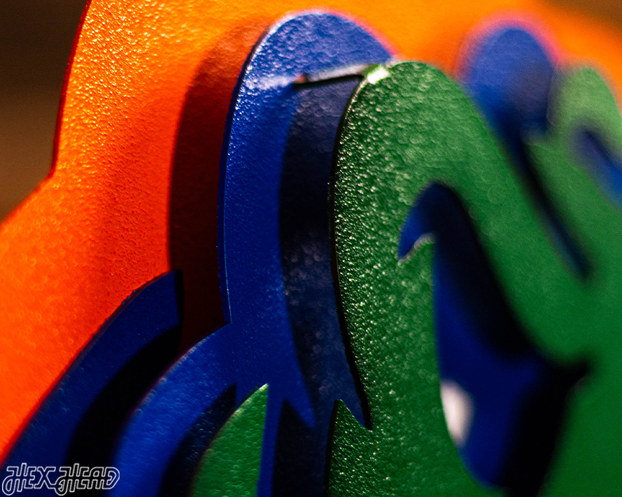 Florida Gators "GATOR HEAD"  3D Vintage Metal Wall Art