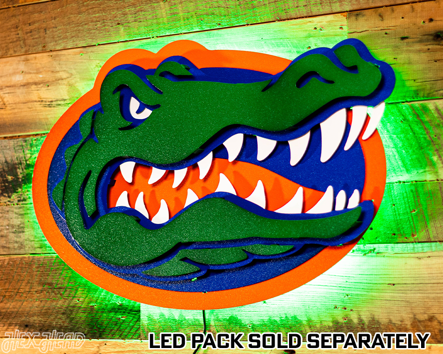 Florida Gators "GATOR HEAD"  3D Vintage Metal Wall Art