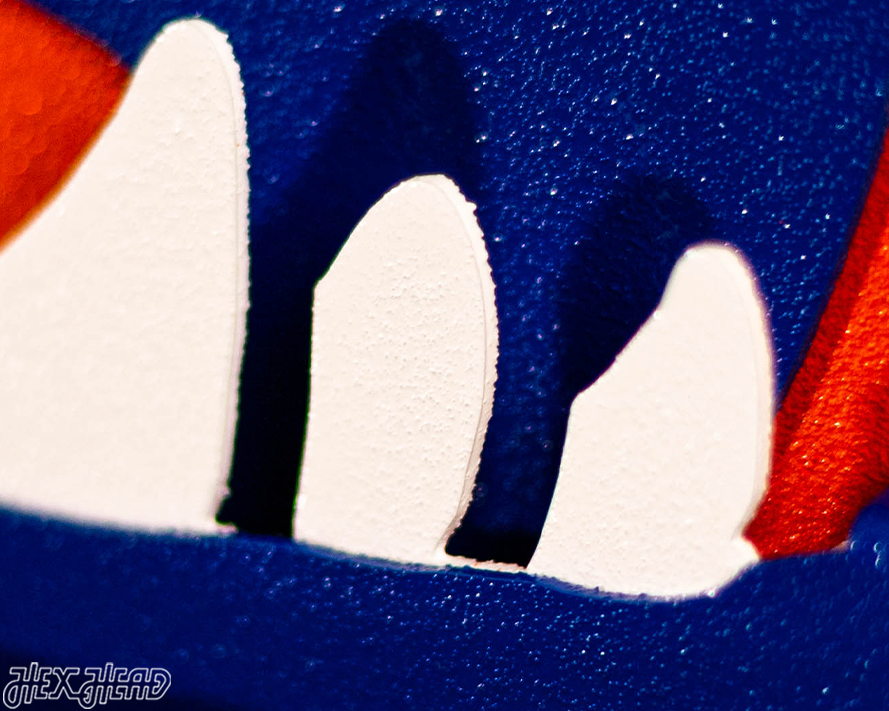 Florida Gators "GATOR HEAD"  3D Vintage Metal Wall Art