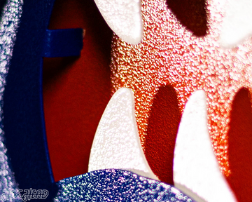 Florida Gators "GATOR HEAD"  3D Vintage Metal Wall Art