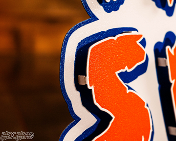 Florida Gators - Hex Head EXCLUSIVE "THE SWAMP" 3D Metal Wall Art
