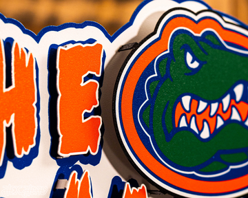 Florida Gators - Hex Head EXCLUSIVE "THE SWAMP" 3D Metal Wall Art
