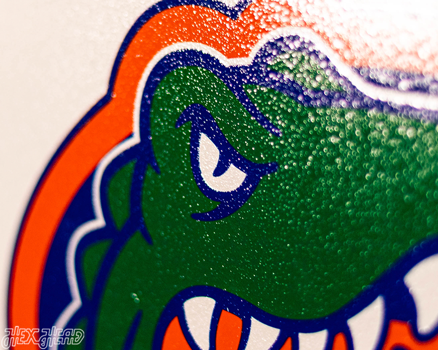 VARSITY Collection- SINGLE layer Florida Gators Metal Wall Art