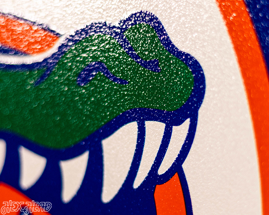 VARSITY Collection- SINGLE layer Florida Gators Metal Wall Art