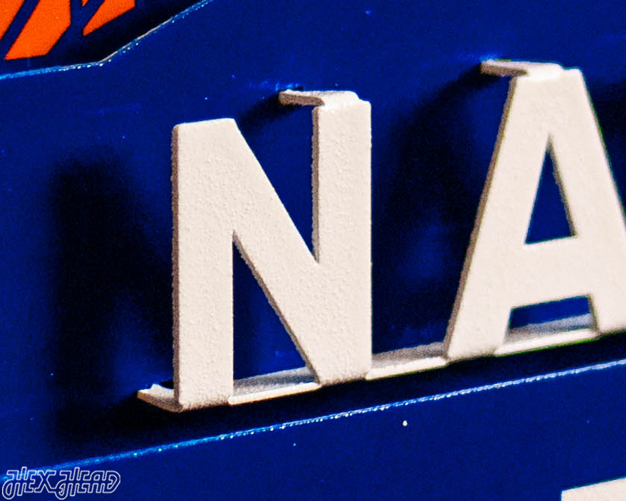 Florida Gators 2025 National Basketball Champions 3D Vintage Metal Wall Art