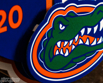 Florida Gators 2025 National Basketball Champions 3D Vintage Metal Wall Art