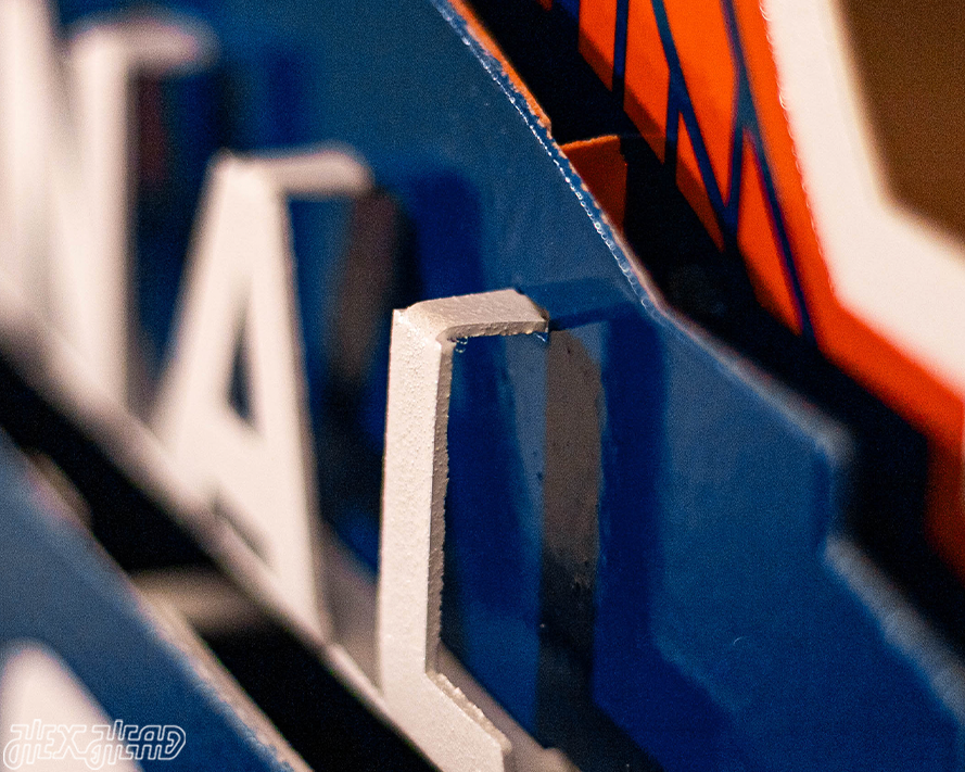 Florida Gators 2025 National Basketball Champions 3D Vintage Metal Wall Art