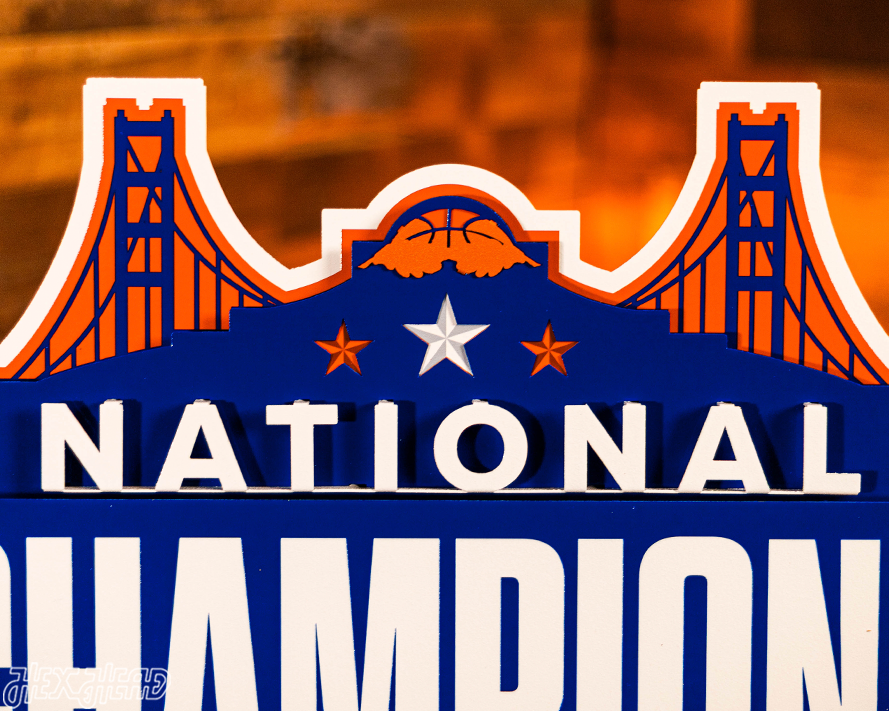 Florida Gators 2025 National Basketball Champions 3D Vintage Metal Wall Art