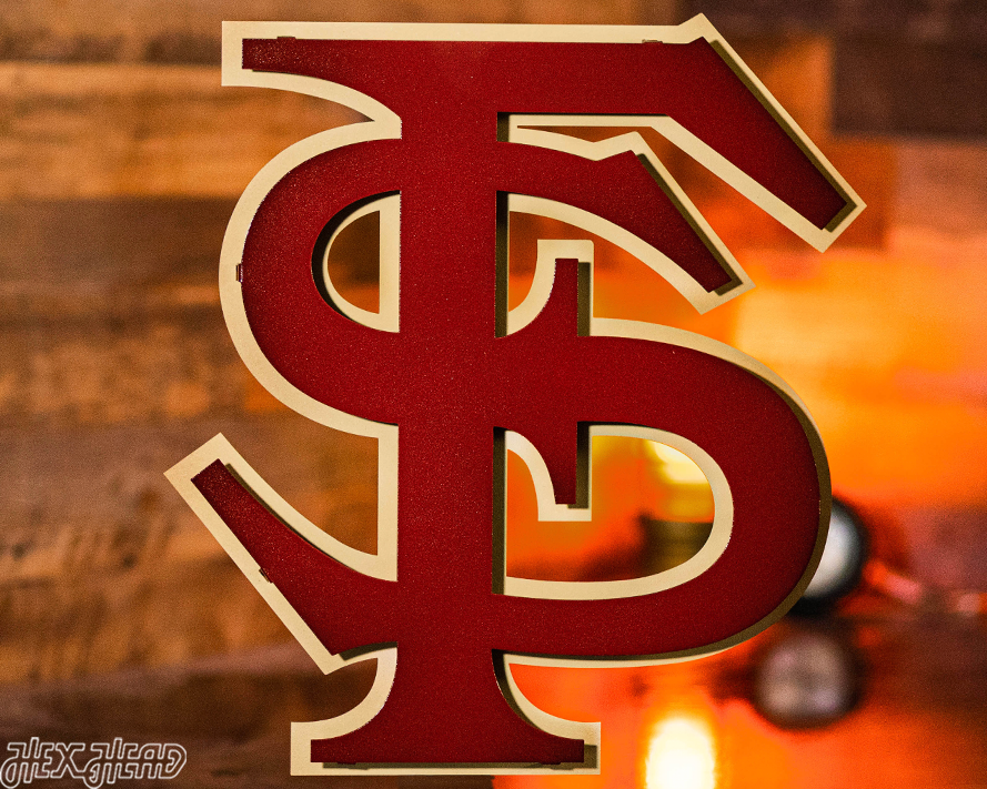 Florida State FS Logo 3D Vintage Metal Wall Art